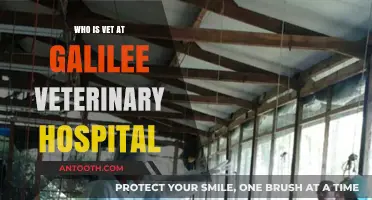 Meet the Vets of Galilee Veterinary Hospital