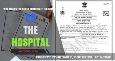 Death Certificate Issuance: County or Hospital Responsibility Explained