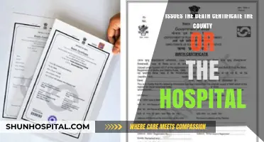 Death Certificate Issuance: County vs. Hospital Responsibilities Explained