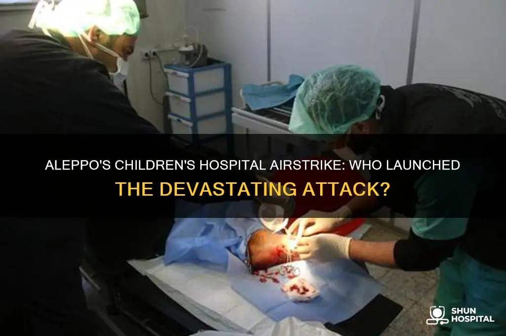 who launched the airstrike on aleppo