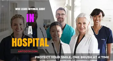 Internal Audit Leadership in Hospitals: Who's in Charge?