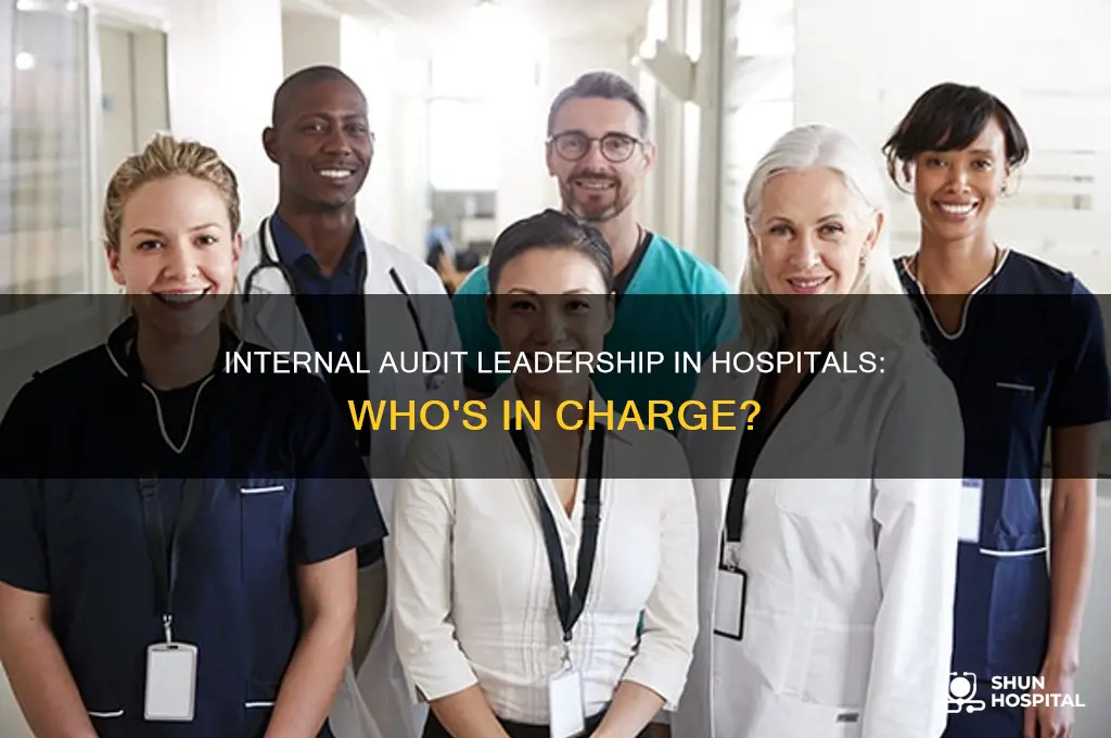 who leads internal audit in a hospital