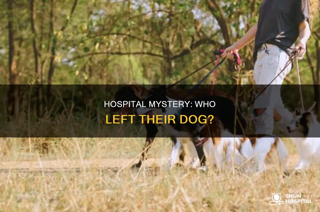 who left the canine at the hospital