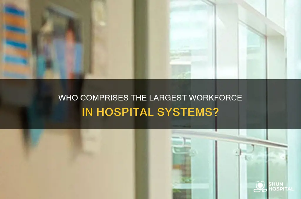 who makes up the msot employees in hospital systems