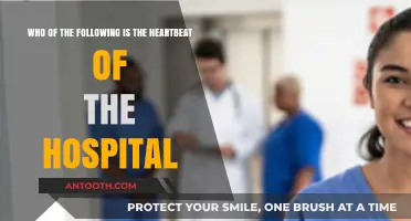 The Unseen Heroes: Who Truly Keeps the Hospital Alive?