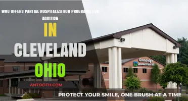 Cleveland's Partial Hospitalization Programs for Addiction Recovery: Top Providers