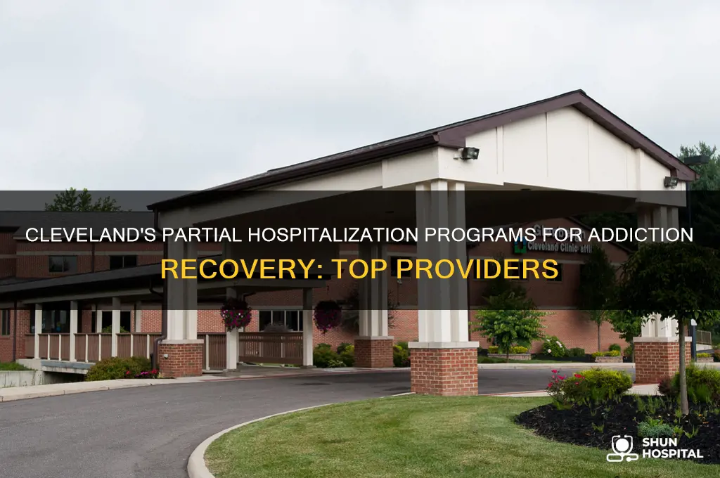 who offers partial hospitalization programs for addition in cleveland ohio