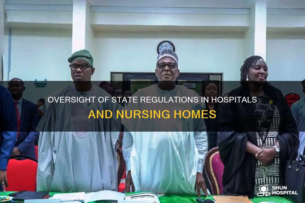 who over looks the state in hospital and nursing homes