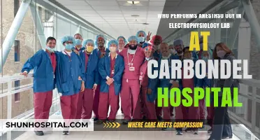 Who Administers Anesthesia in Carbondale Hospital's Electrophysiology Lab?