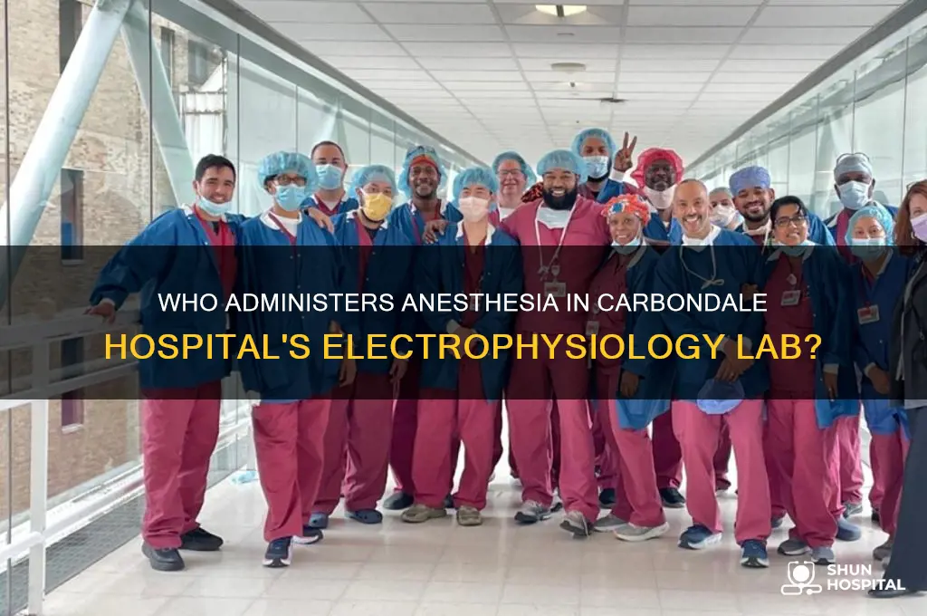 who performs anesthso ogy in electrophysiology lab at carbondel hospital