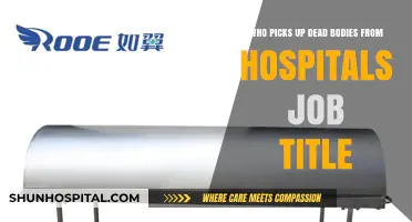 Who Handles Hospital Mortuary Removal: Unveiling the Crucial Job Title