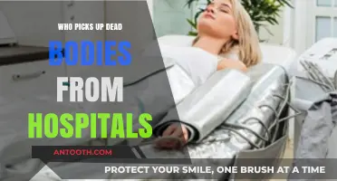 The Work of Hospital Body Removals