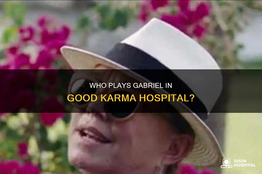 who plays gabriel in good karma hospital