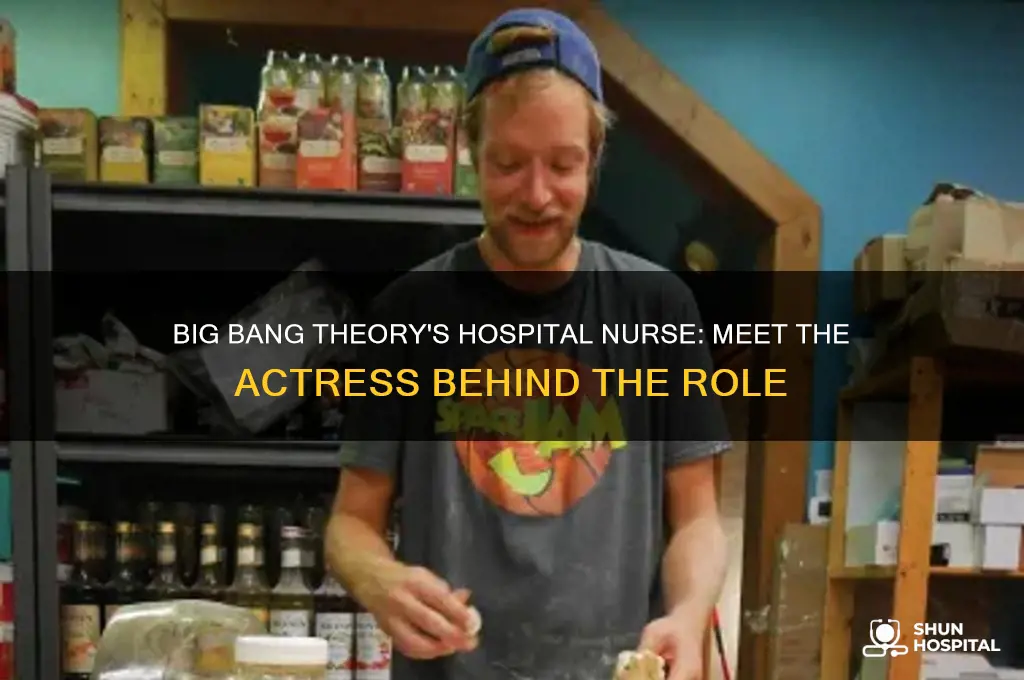 who plays the hospital nurse on big bang theory