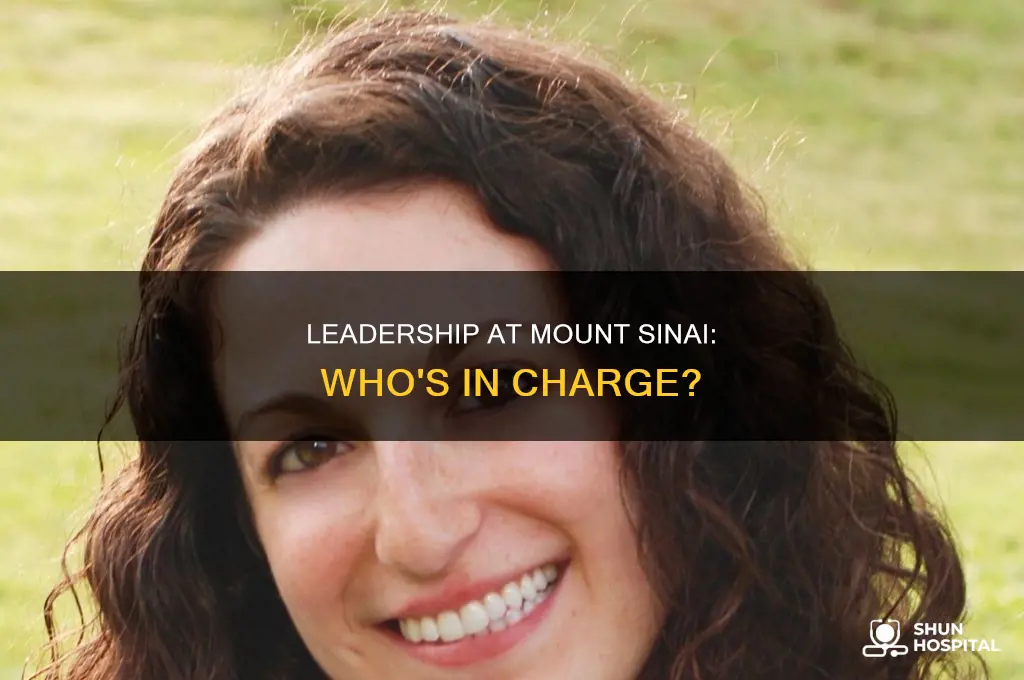 who runs the entire mount sinai hospital