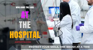 The Hospital's Lab Experts: Who's in Charge?