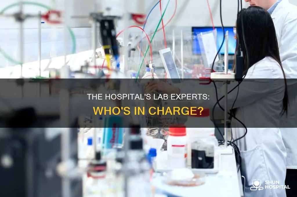 who runs the labs at the hospital