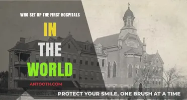 The Origins of Healthcare: Who Established the World's First Hospitals?
