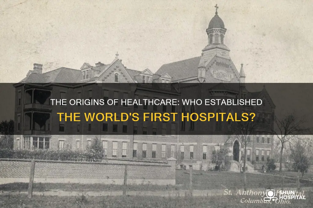 who set up the first hospitals in the world