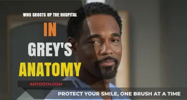 Grey's Anatomy Hospital Shooting: Unraveling the Shocking Tragedy and Its Impact