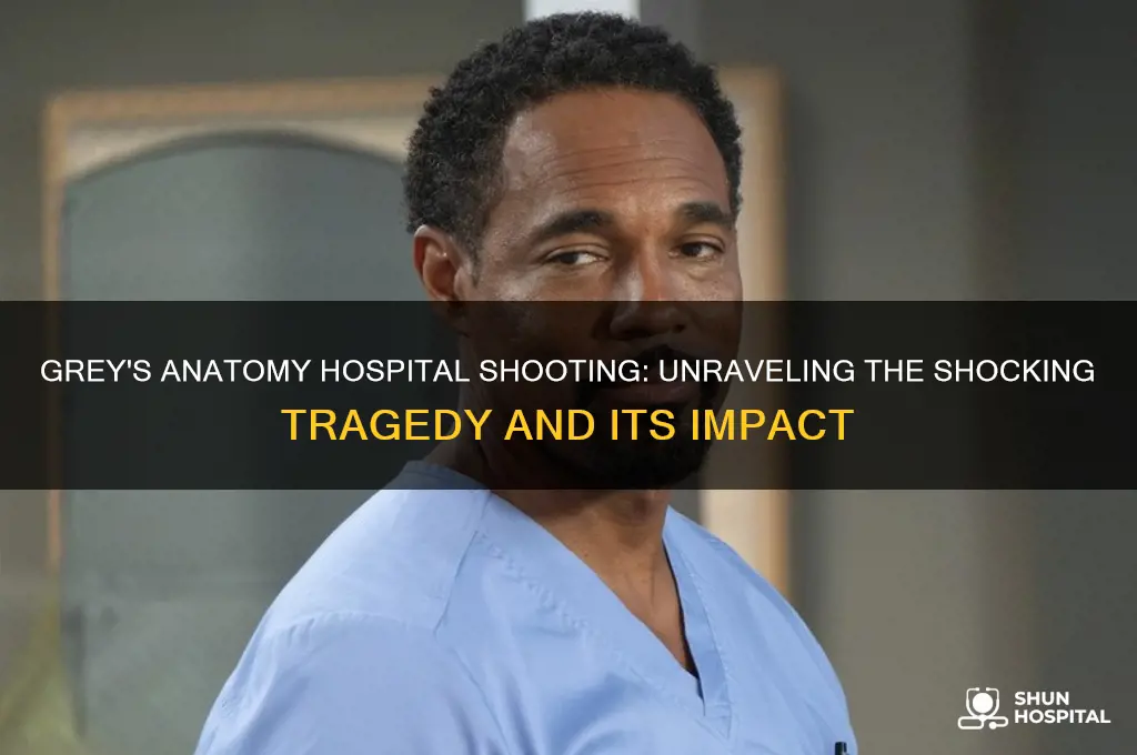 who shoots up the hospital in grey