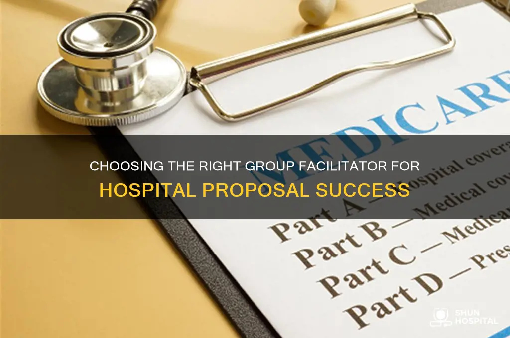 who should be the group facilitator in a hospital proposal