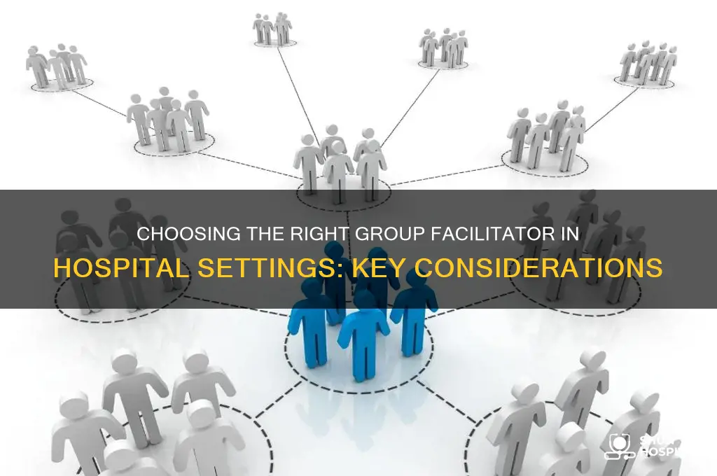 who should be the group facilitator in a hospital setting