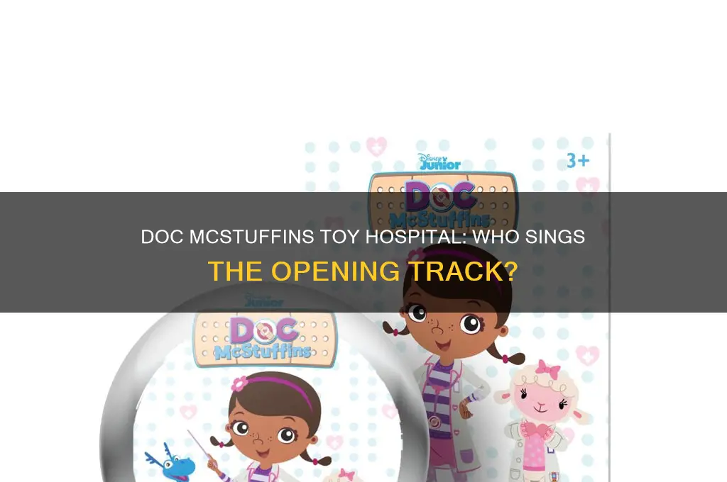who sings opening track to doc mcstuffin toy hospital
