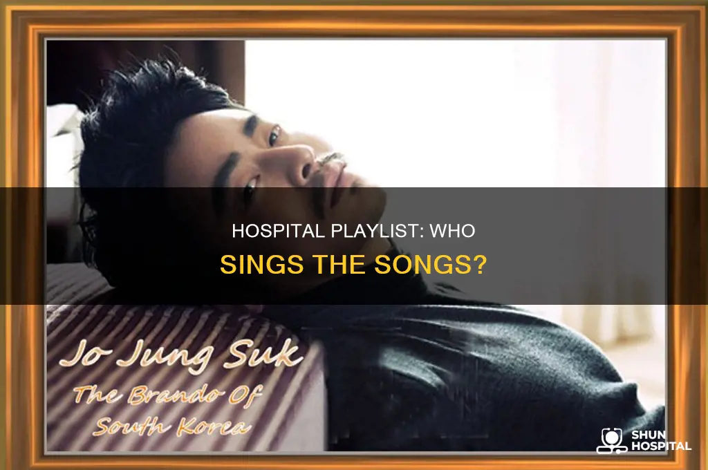 who sings the songs in hospital playlist