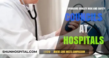 Who Funds Hospital Quality Risk and Safety Councils?