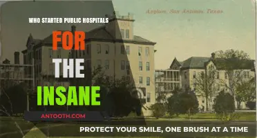 The History of Asylums: Who Started Public Hospitals for the Insane?