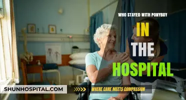 Hospital Visitors: Who Stayed with Ponyboy and Why?