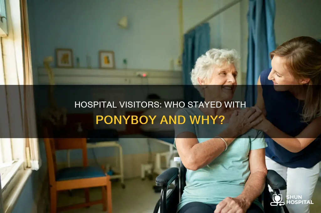 who stayed with ponyboy in the hospital