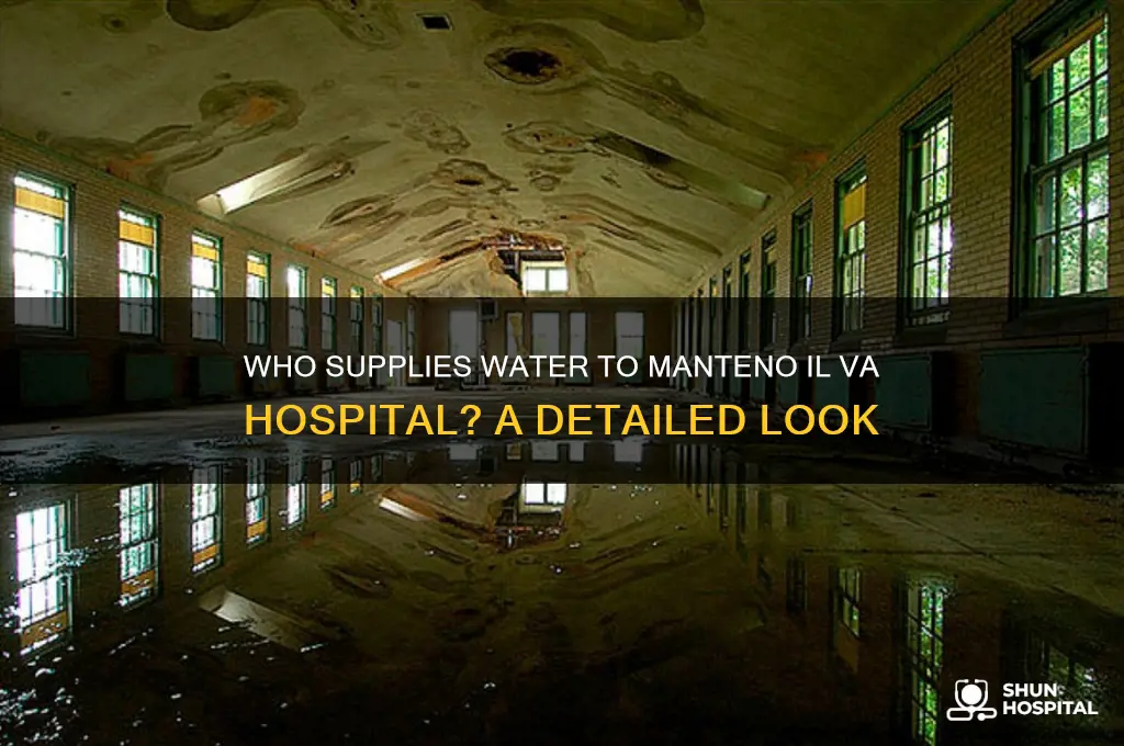 who supplies the water to the manteno il va hospital