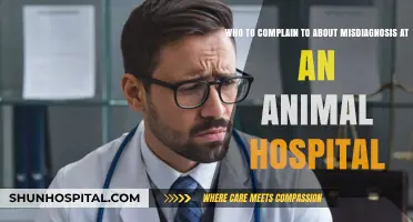 Misdiagnosis at the Vet: Who to Contact for Justice