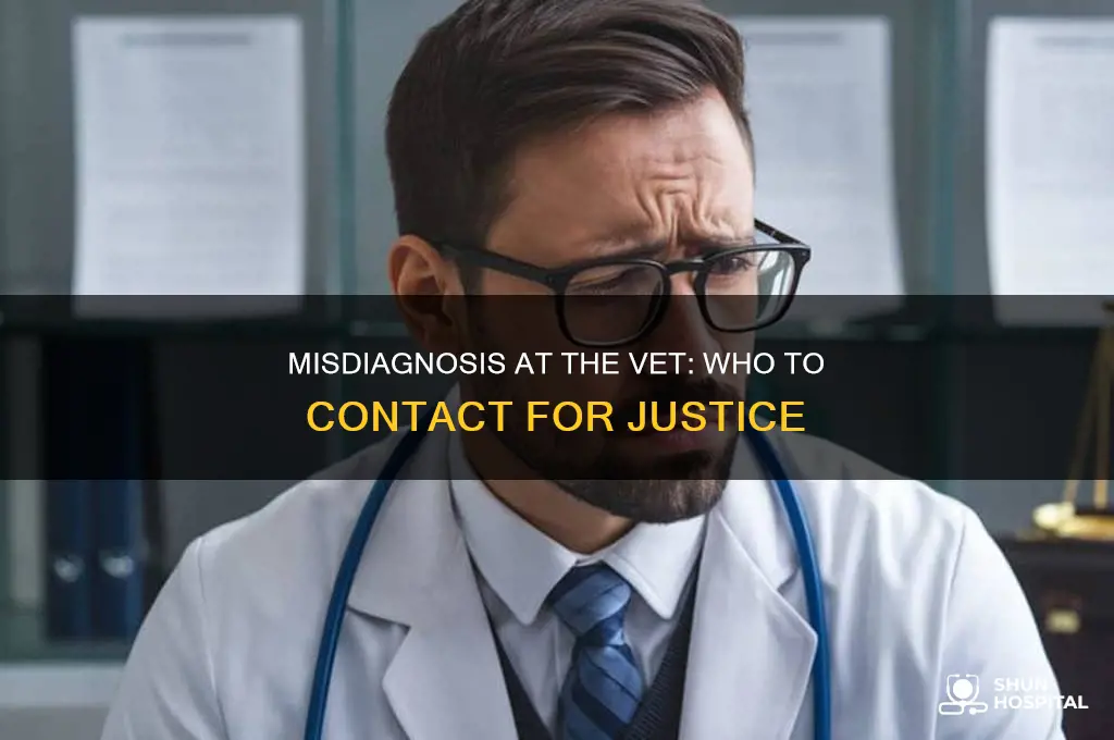 who to complain to about misdiagnosis at an animal hospital