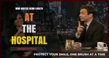 Demi Lovato's Hospital Visitors: A Supportive Circle