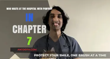 Ponyboy's Hospital Companion: Unveiling the Supportive Figure in Chapter 7