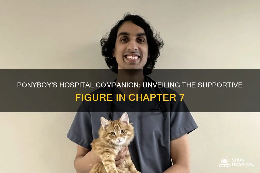 who waits at the hospital with ponyboy in chapter 7