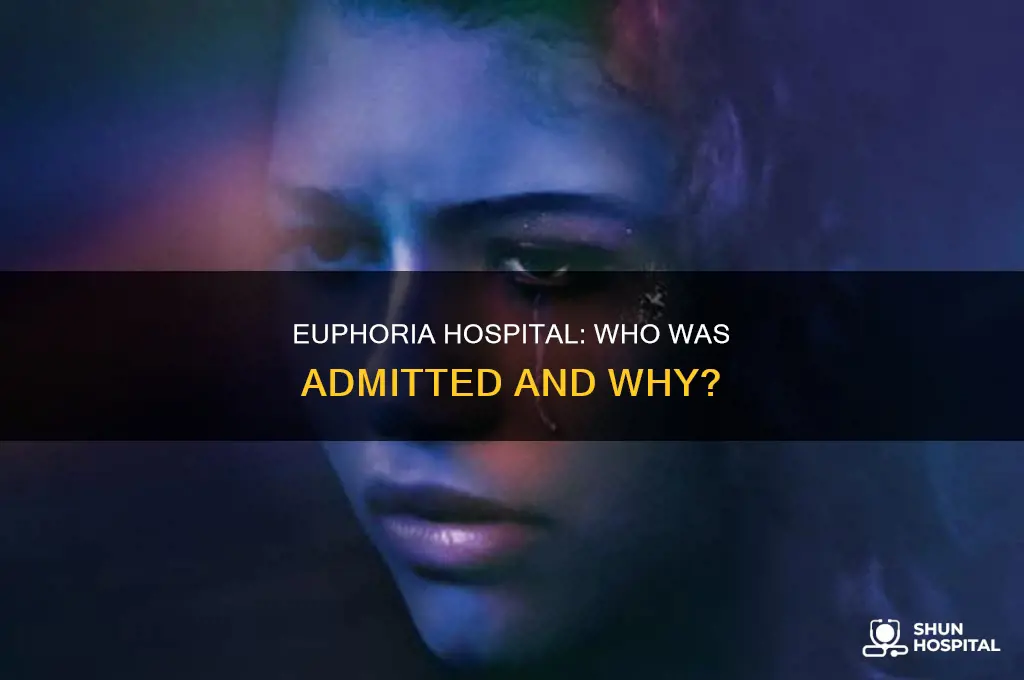 who was in the hospital in euphoria