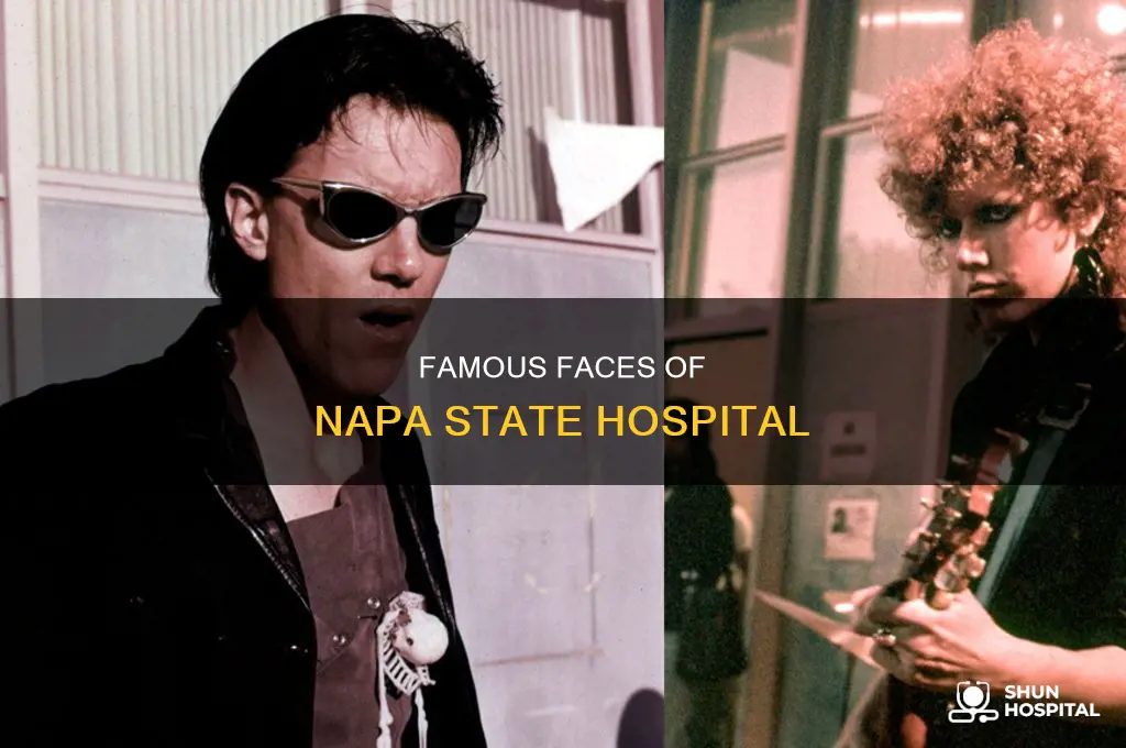 who was institutionalized in napa state hospital
