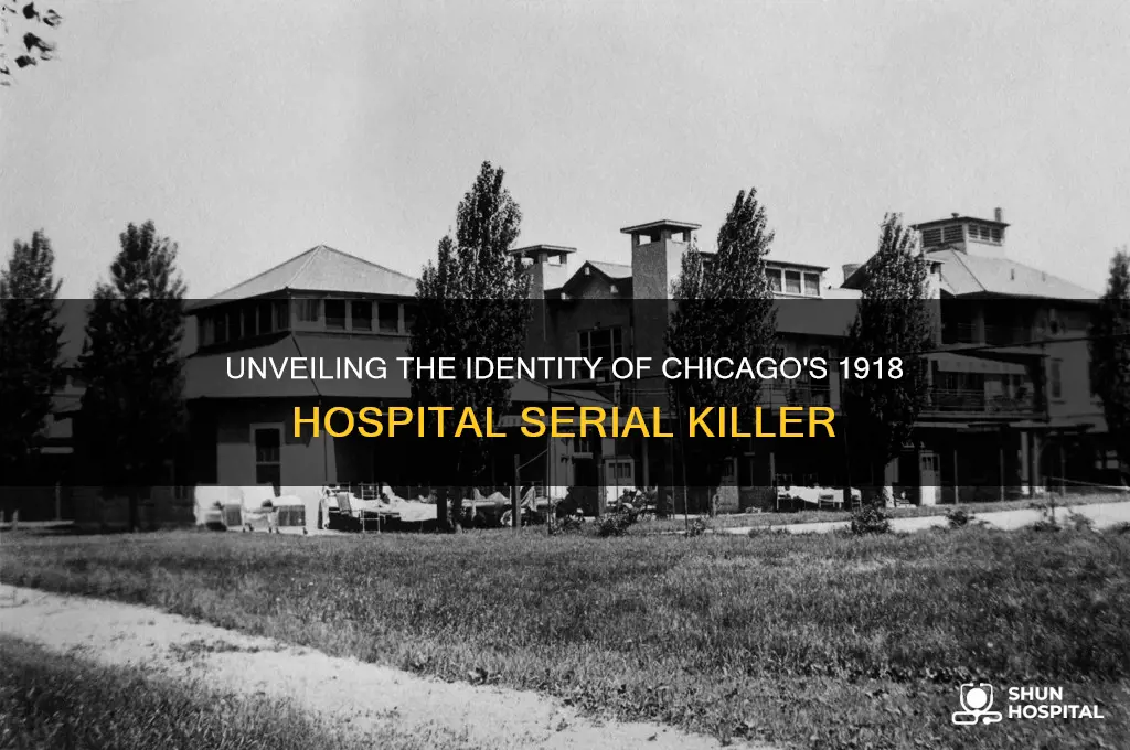 who was the chicago hospital murderer 11-19-18