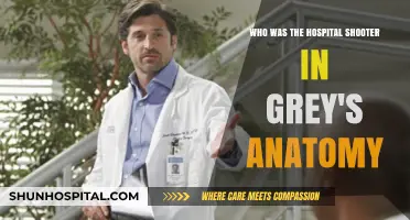 Unmasking Grey's Anatomy's Hospital Shooter: A Shocking Character Reveal