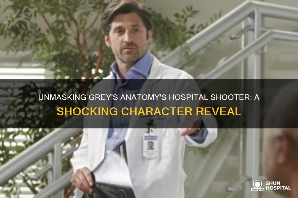 who was the hospital shooter in grey