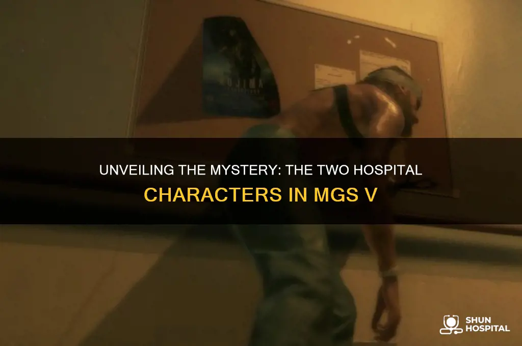 who were the two in the hospital mgs v