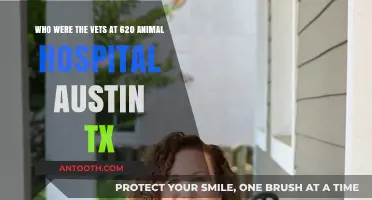Meet the Dedicated Vets at Austin's 620 Animal Hospital