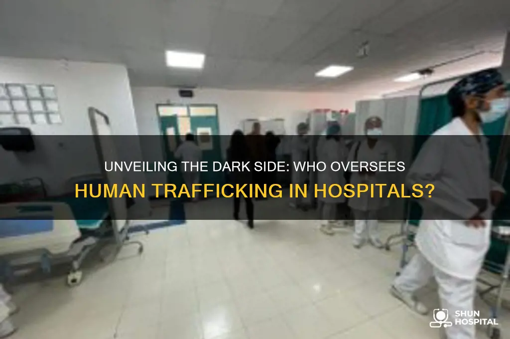 who would be in charge of human trafficking in hospital