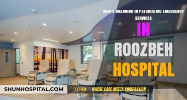 Understanding Patient Demographics in Roozbeh Hospital's Psychiatric Emergency Services