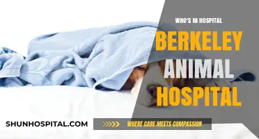 Berkeley Animal Hospital: Who's In and Their Care