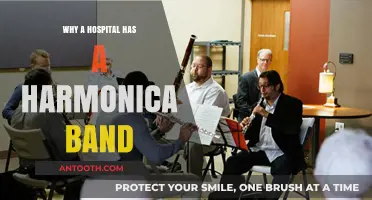 Harmonica Band Therapy: Healing Through Music at Our Hospital